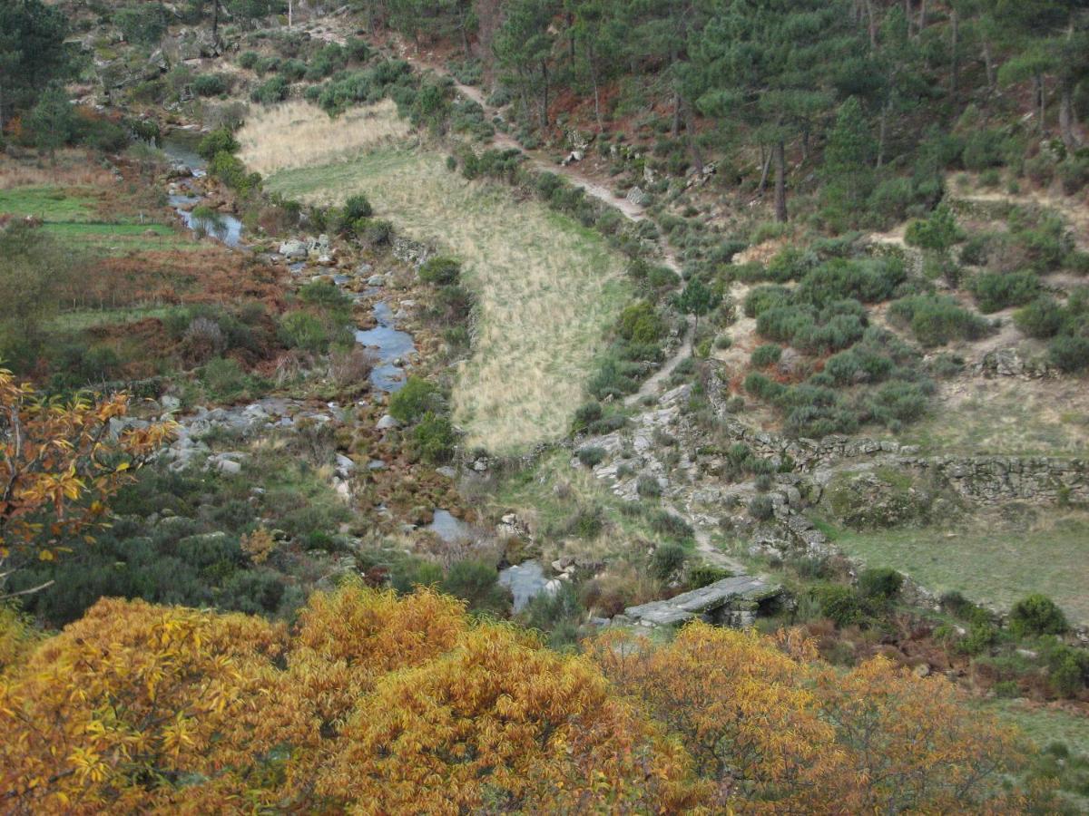 Sambuc'Asa - Serra Da Estrela Sabugueiro  Kültér fotó